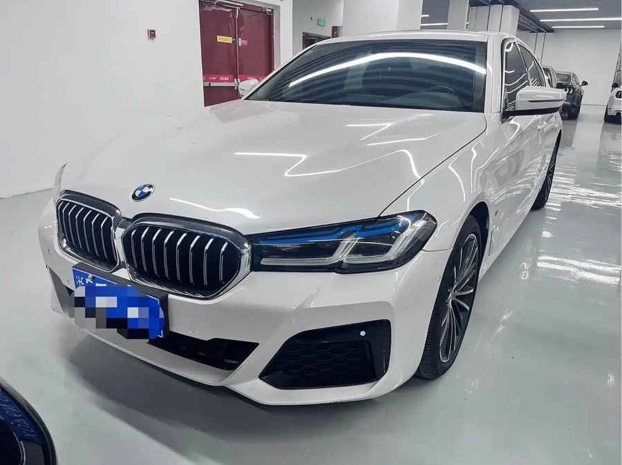BMW 530 Li 2019