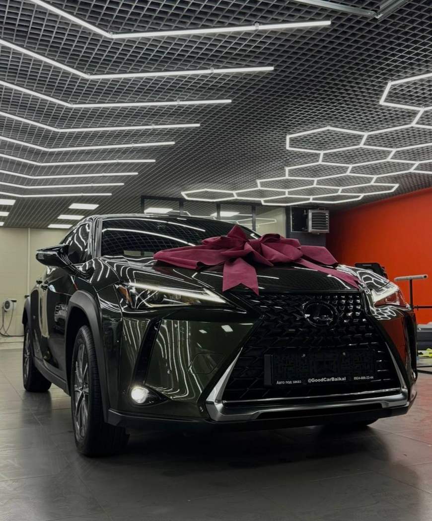 Lexus UX300e для Асель